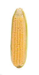 Corn cobs isolated