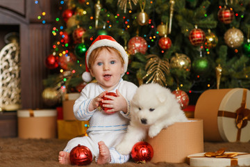 Redhead baby boy with a samoyed puppy near christmas tree