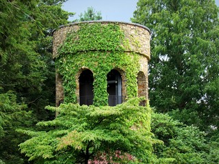 Fototapeta na wymiar Architectural Bell Tower Bind With Leaf Vines 
