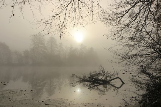 mystische Lichtstimmung mit Nebel und Sonne am Fluss, Trauerkarte