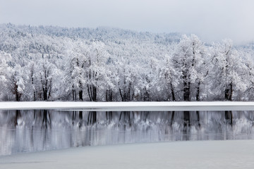 Winter landscape background with beautiful reflection in the water, Planina, Slovenia
