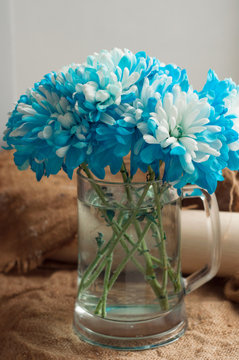 Bouquet of white with blue chrysanthemums artificial colored in a glass near to the window
