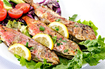 Grilled red fish