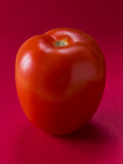 Tomate italiano comprido vermelho em fundo vermelho