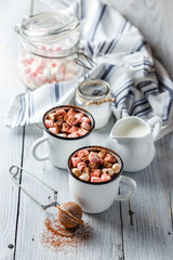 Hot Cocoa with Marshmallows