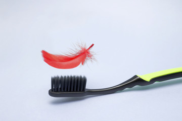 A photo of the black toothbrush and a red feather above it. Periodontitis, gingivitis, bleeding...
