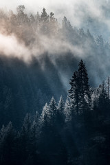 Idaho Panhandle National Forest