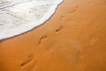 beach, wave and footprints at sunset time