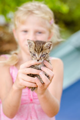 lovely cute cat in hands of little girl