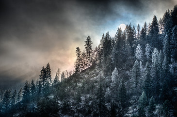 Idaho Panhandle National Forest