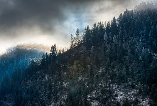 Idaho Panhandle National Forest