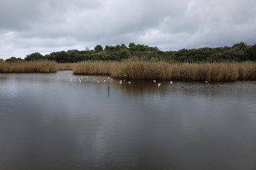 lake to portonovo in the conero