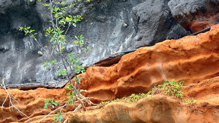Rock layers of lava and red tuff at the south coast of Madeira