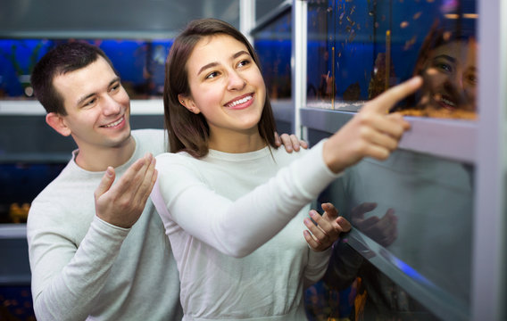 Couple choosing aquarium fish