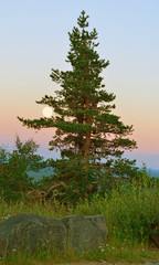 Obraz premium Evening landscape in hills of Finnish Lapland. Sunset