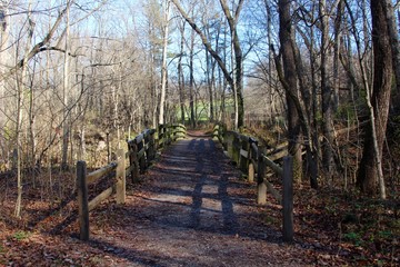 The autumn leaves on the wood bridge in the forest.