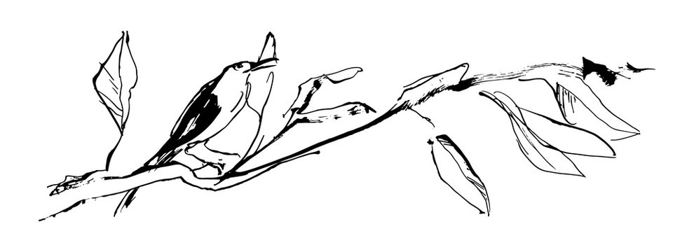 Hand drawn bird on tree branch with leaves painted by ink. Grunge style vector. Sketch black image on white background.