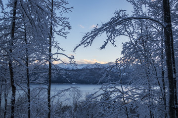 Fototapeta premium Walchensee-See in Bayern im winter
