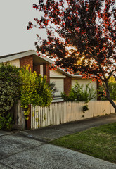 Warm summer evening in Hallam.