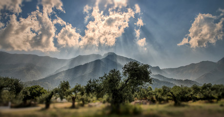 Sun rays over the mountain