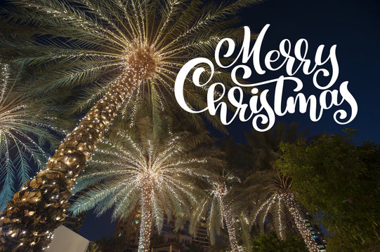 christmas background palm tree in the night city with photo overlay Merry Christmas, greeting card