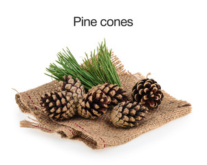 Pine cones isolated