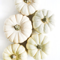 Bright pumpkins collection on white background. Flat lay, top view.