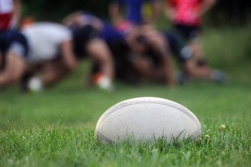rugby