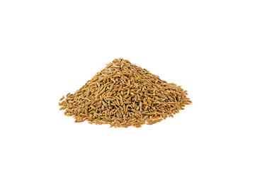 zira isolated on white background