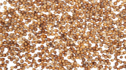 Coriander seeds isolated on white background, top view 