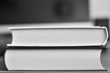 The book in the foreground, on the background of the computer monitor