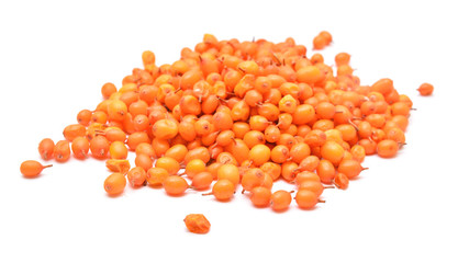 seabuckthorn