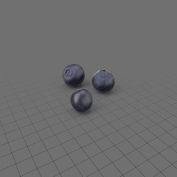 Three blueberries
