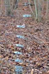Maschendrahtzaun im Wald