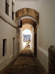 Obraz premium vejer