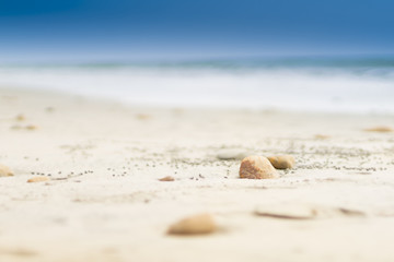 PLAYA MAR ROCAS