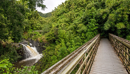 Fototapeta na wymiar Pipiwai Trail Bridge leads into the bamboo forest