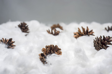Fototapeta na wymiar Cones in the snow. Macro photo of decorative cones