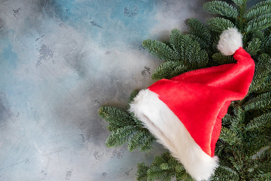 Christmas evergreen tree with Santa Claus hat
