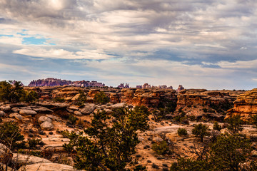 Fototapeta na wymiar I captured this image on the Slickrock Trail in the Needles District of the Canyon Lands National Park in Utah. Signature Needles formations are in the distant background.