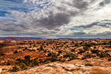I created these intriguing images while on the Slickrock Trail i the Needles District of the Canyon Lands National Park in Utah. © tiva48
