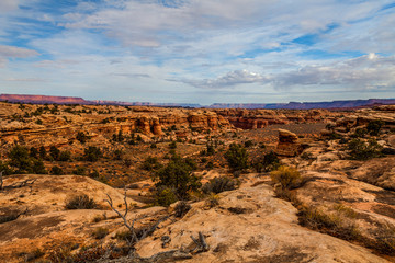 I created these intriguing images while on the Slickrock Trail i the Needles District of the Canyon Lands National Park in Utah.