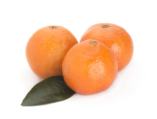 Ripe mandarines with leaves close-up on a white background. Tangerines with leaves on a white background