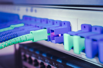 Many optical cables are connected to one patch panel.