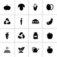 Organic icons. vector collection filled organic icons