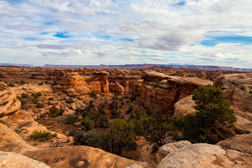 I created these intriguing images while on the Slickrock Trail i the Needles District of the Canyon Lands National Park in Utah.