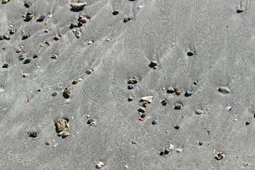 Textures on the beach sand