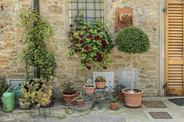 Flowers, windowbox and topiary on street in Volpai, Tuscany, Italy