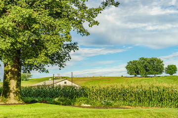 Amish country farm field agriculture and hoses in Lancaster, PA