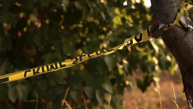 Crime scene police tape, Do Not Cross yellow Tape